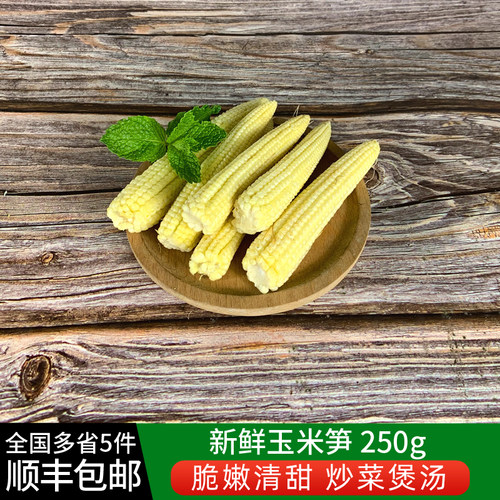 食者250g去皮迷你沙拉煲汤玉米笋