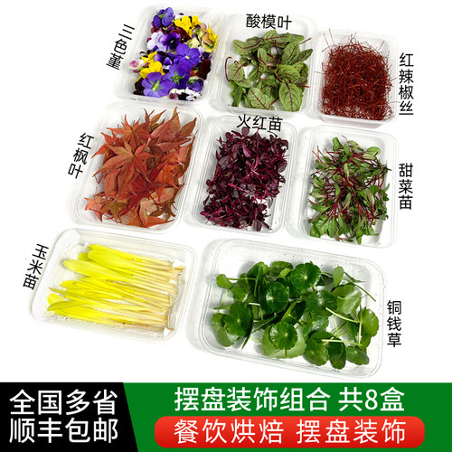 8种摆盘装饰套餐 三色堇酸模叶火红苗玉米苗甜菜苗铜钱草顺丰包邮