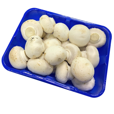 2盒口蘑口菇5件包邮新鲜蘑菇
