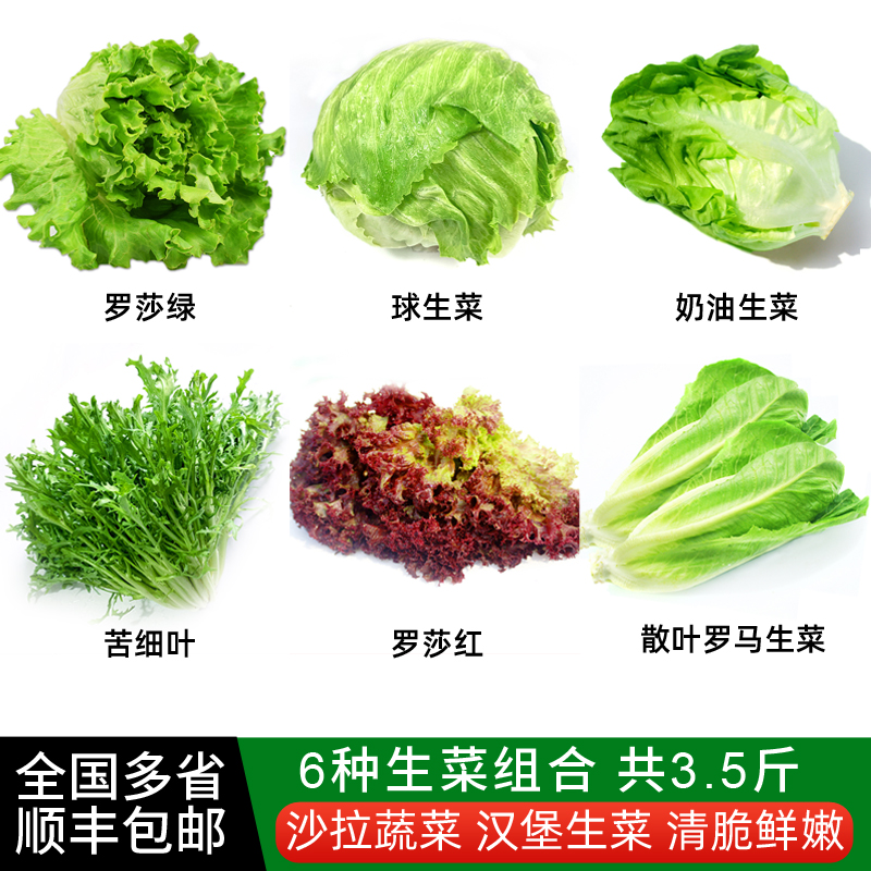 新鲜生菜组合3.5斤沙拉蔬菜汉堡球生菜生吃火锅健身轻食混合食材-封面