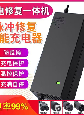 锂电池电动车充电器48V36V60V24V2A72V电车锂离子哈雷平衡车通用