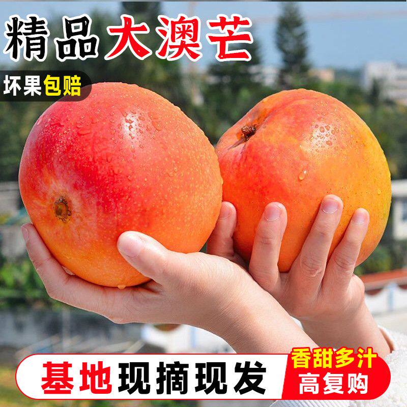 精品澳芒大芒果新鲜水果凯孕妇特忙树上熟青当季芒金整箱5斤礼盒