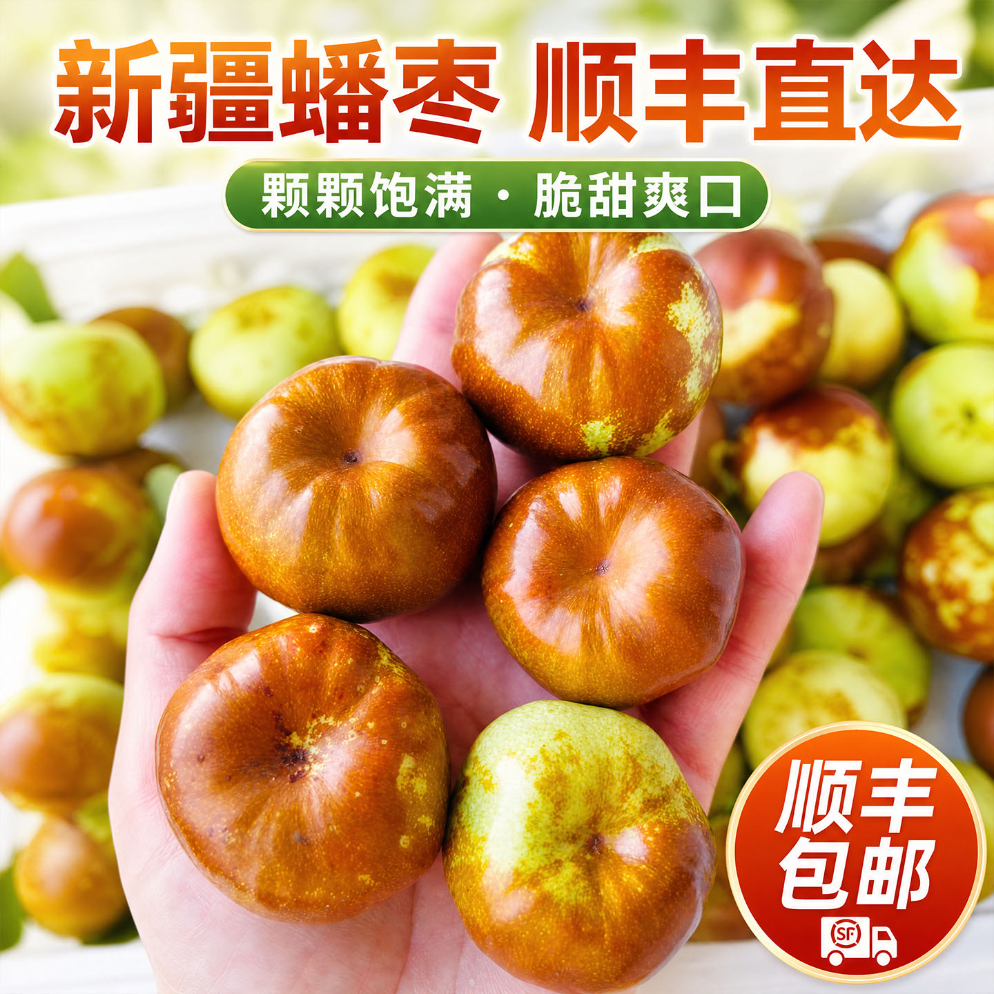 顺丰空运正宗新疆蟠枣大潘枣子应季新鲜水果现摘冰糖冬枣脆甜红枣