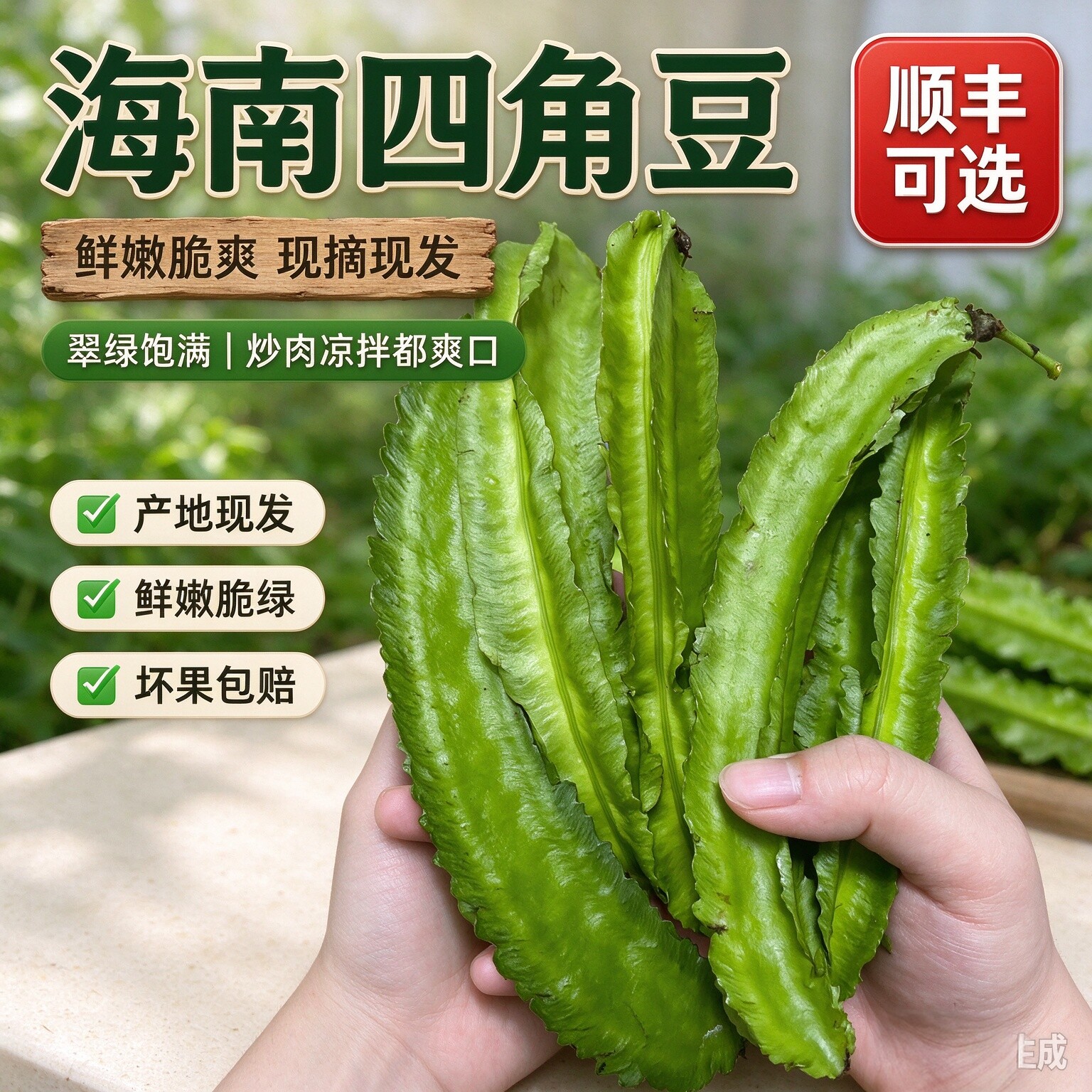 新鲜海南四角豆角四角豆三亚四棱豆杨桃豆皇帝豆孕妇蔬菜龙豆包邮