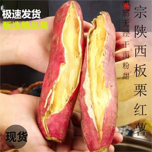 正宗陕西临潼板栗红薯农家自种新鲜番薯地瓜沙地板栗薯蜜薯小香薯