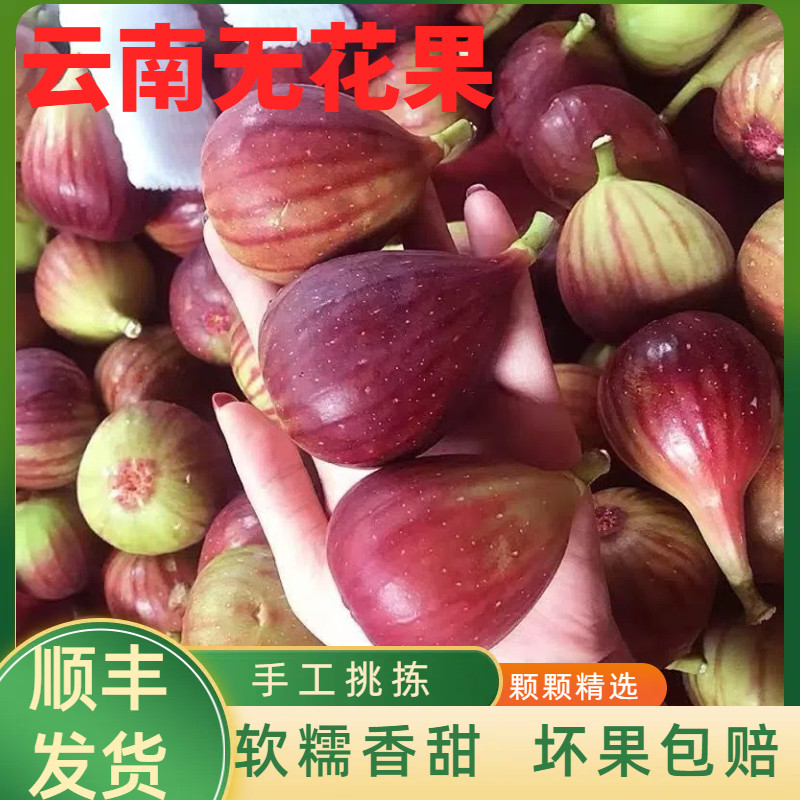 顺丰包邮云南红皮无花果5斤新鲜大果当季孕妇应季紫皮水果整箱