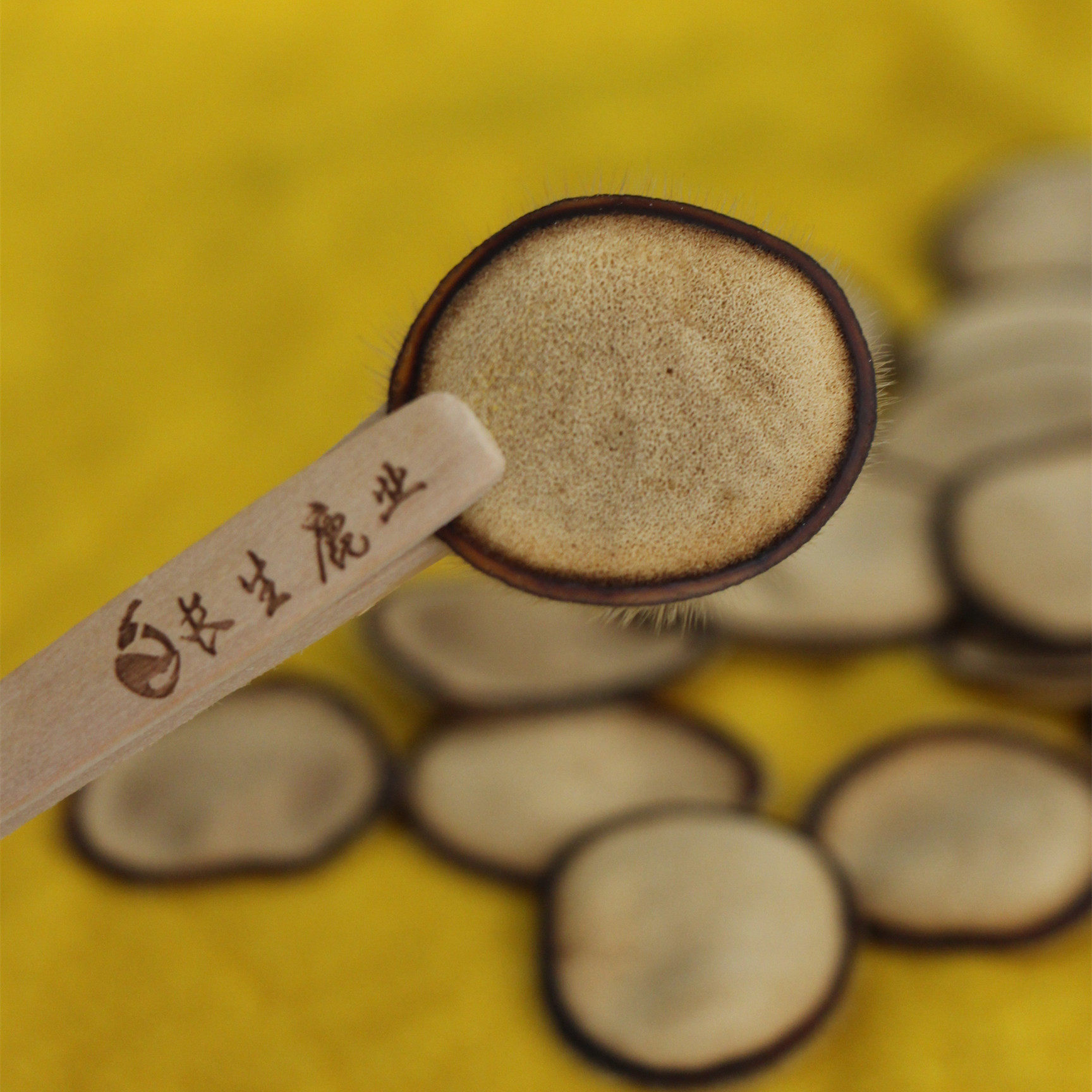 实用礼品送父母梅花鹿茸黄粉片厂家直营送礼佳品20克装礼盒另配