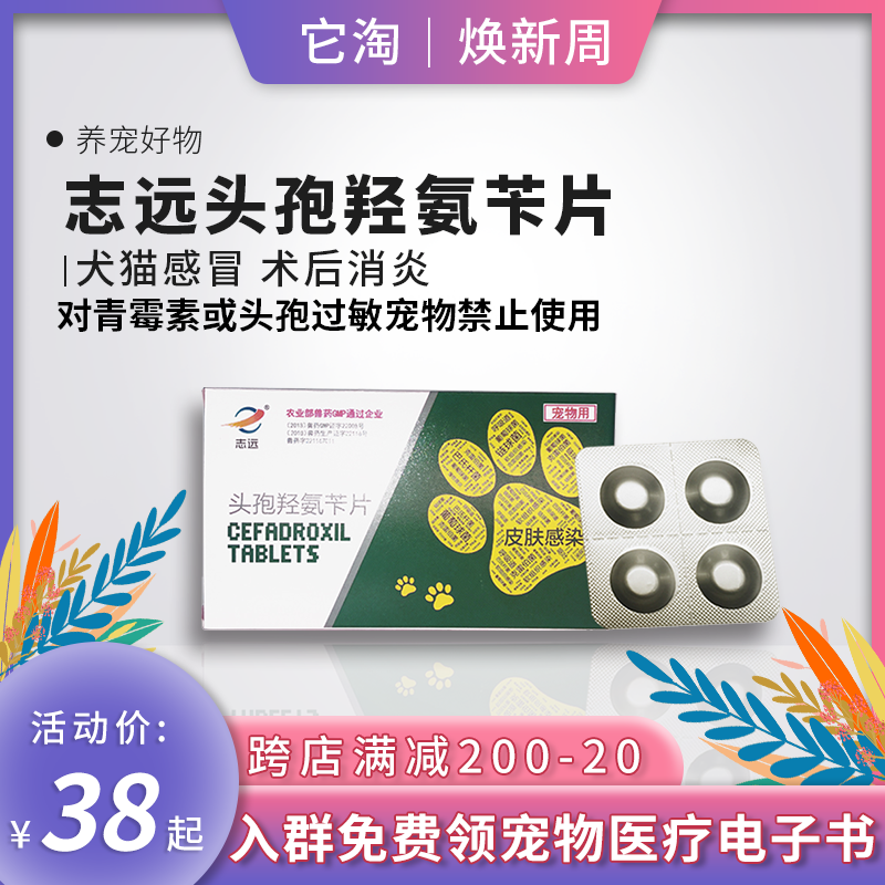 志远宠物头孢羟氨苄片感冒猫咪绝育术后消炎药狗狗尿道感染皮肤病