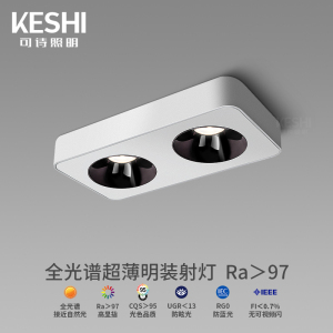 可诗照明 led双头斗胆灯明装射灯防眩方形天花灯卧室无主灯免打孔