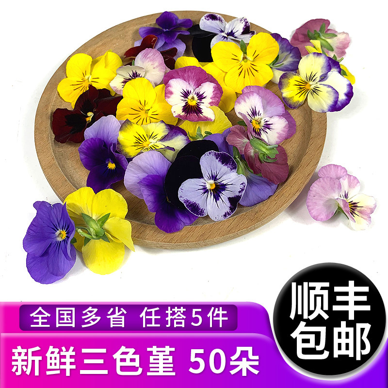 三色堇50朵 新鲜可食用三色花草 酒店西餐烘焙摆盘装饰 5件包邮