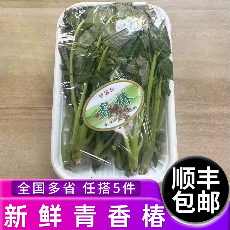 新鲜青香椿约100g/盒 春芽菜炒蛋香春头香椿菜 多省5件顺丰包邮