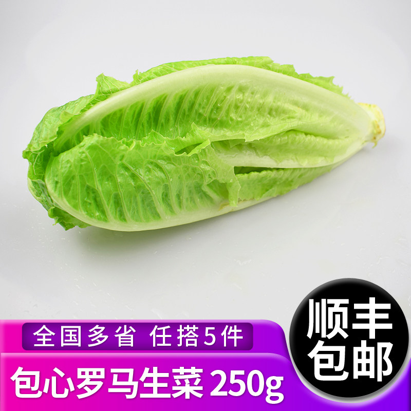 包心罗马生菜250g 绿色新鲜西餐蔬菜沙拉食材 全国多省5件包邮
