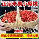 顺丰空运四川攀枝花米易小樱桃新鲜孕妇水果酸甜3斤非车厘子西昌