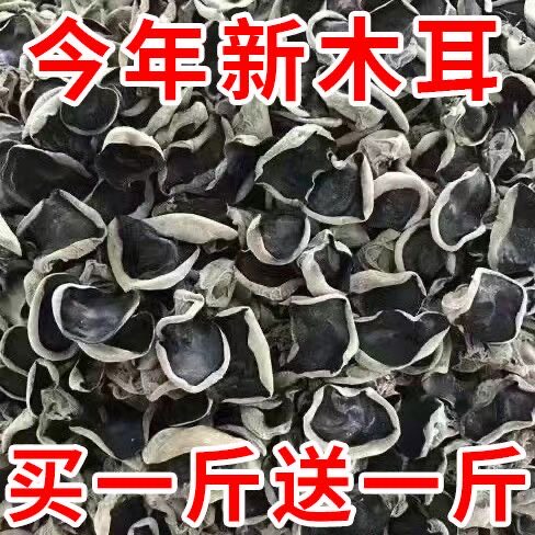 东北野生黑木耳干货椴木秋木耳天然软糯500g包邮凉拌黑龙江山特产