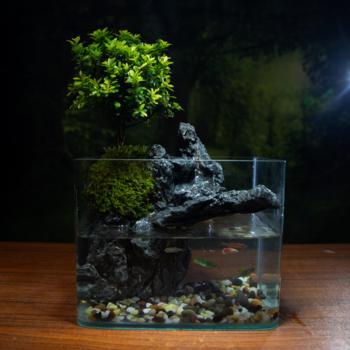 水月洞天 赤楠成品桌面山水景观带过滤流水玻璃缸真植物水陆缸