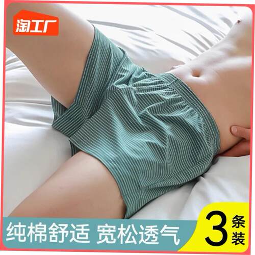 4X Mens boxer briefs loose men boxers underpants under短裤