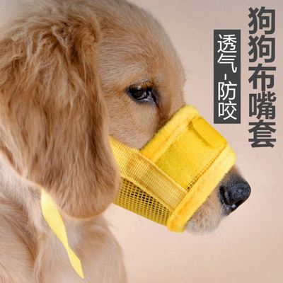 NylonDogPetDogPadded