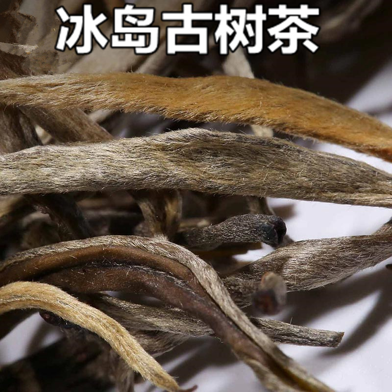 勐库冰岛老寨临沧散茶古树纯料