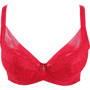Duchess/达吉斯性感红色蕾丝全罩杯大码V型侧收副乳文胸内衣8002