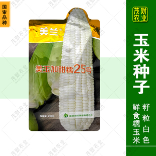 正品美兰美玉25号加甜糯玉米种子加甜糯鲜食玉米口感好产量高200g