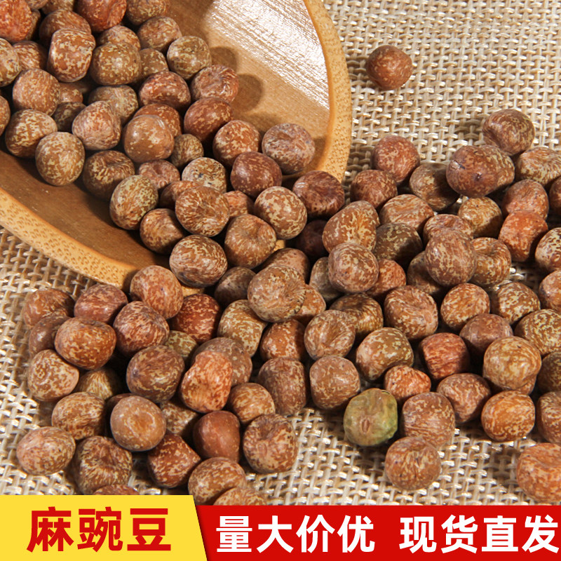 小粒麻豌豆加拿大1号龙须菜做豌豆苗阳台水培芽苗菜室内无土栽培