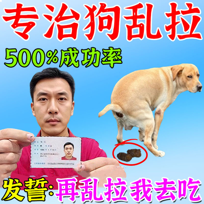 狗定点上厕所神器宠物排便