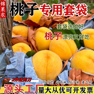 桃子套袋专用袋黄桃袋子水蜜桃果袋冬桃毛桃育果袋双层蜡袋防鸟虫
