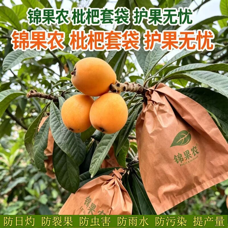 枇杷套袋专用袋水果防鸟虫育果袋枇杷袋枇杷双层牛皮纸袋子套树上