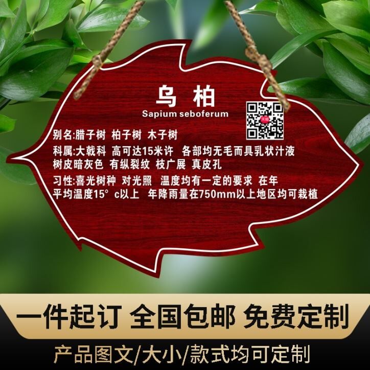 亚克力树牌挂牌定制植树节树木花草标识牌植物认养树名信息果树名