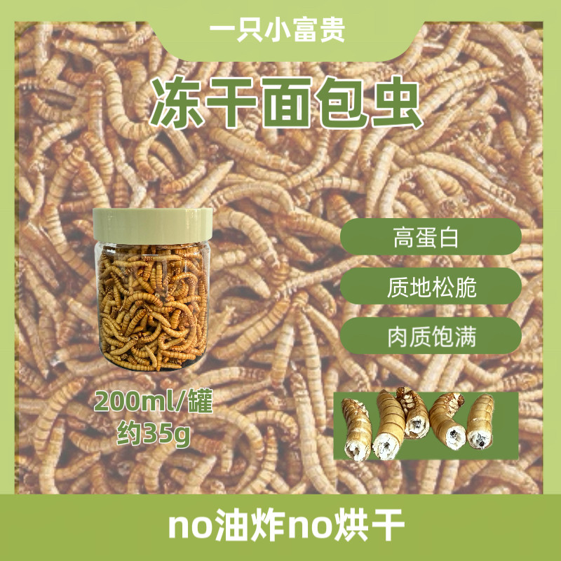 冻干面包虫仓鼠金丝熊宠物零食非油炸高蛋白