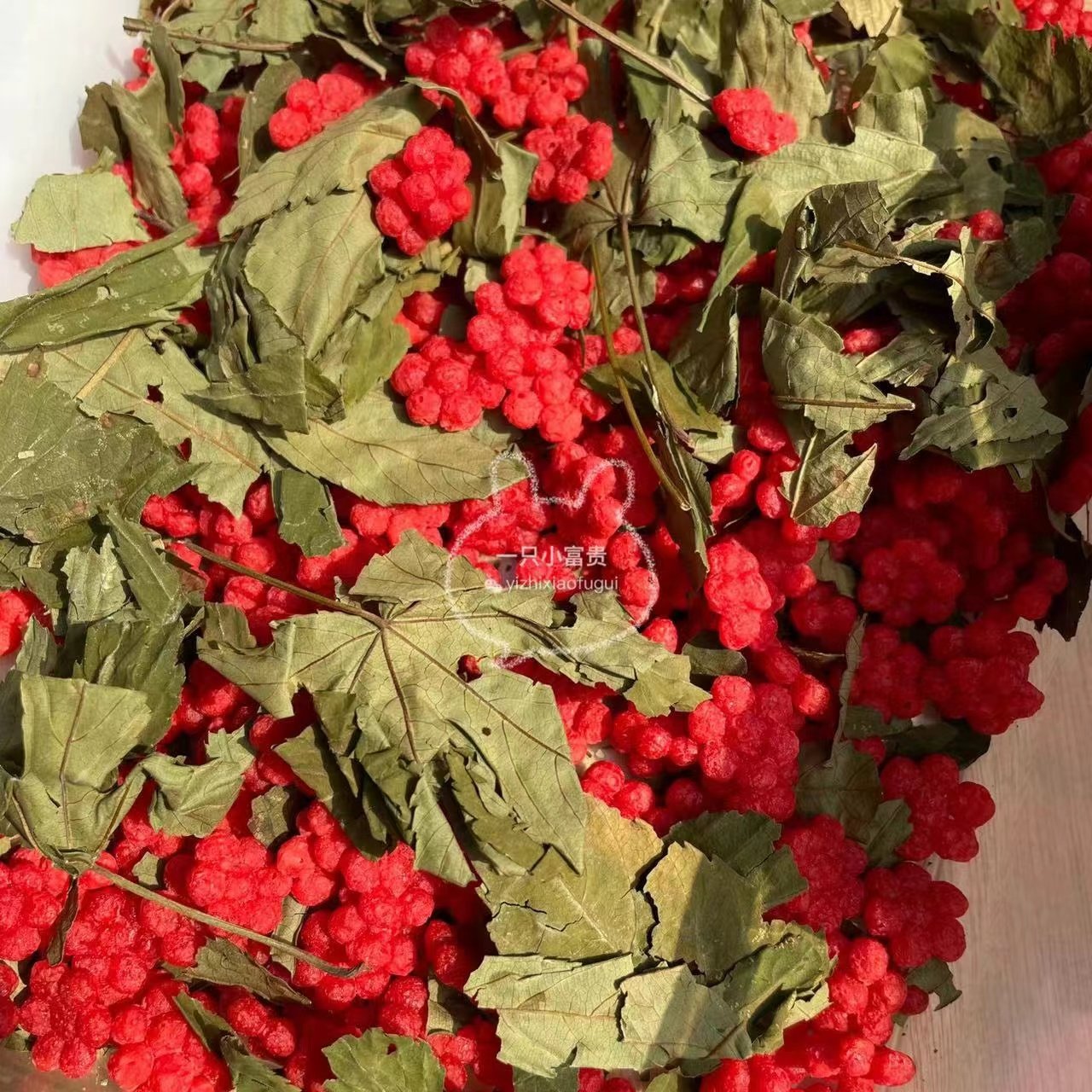 富贵新品甜叶莓莓/蓝莓萄萄仓鼠金丝熊小零食适口性好,宠物/宠物食品及用品,玩具/造景装饰,淘宝优惠券,粉丝福利购,淘宝优惠卷