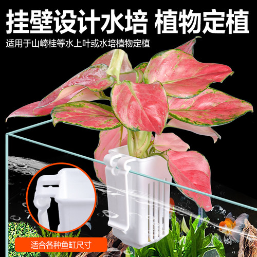 造景装饰水中器皿边挂壁植物挂篮