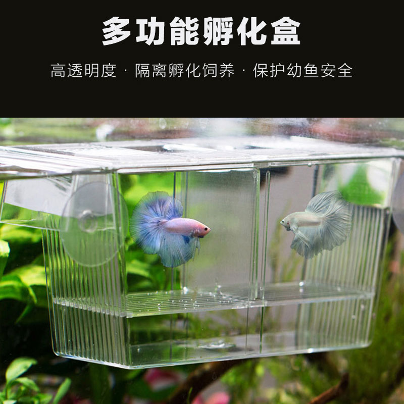 孔雀鱼繁殖盒小型悬浮式孵化器