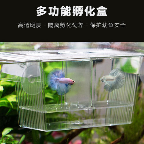 孔雀鱼繁殖盒小型悬浮式孵化器