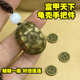 乌龟壳文创三才手把件富甲天下文玩国风摆件解压六爻摇卦龟甲摆件
