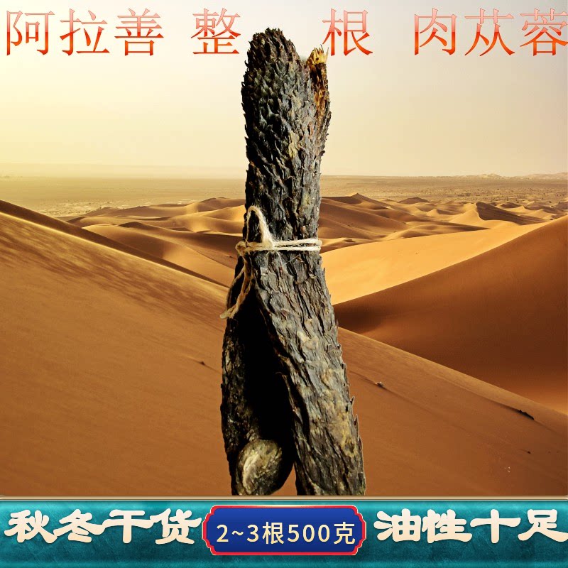正品内蒙古整根油性肉苁蓉阿拉善原产特级500g男用滋补泡酒料泡茶
