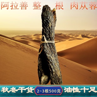 正品 内蒙古整根油性肉苁蓉阿拉善原产特级500g男用滋补泡酒料泡茶