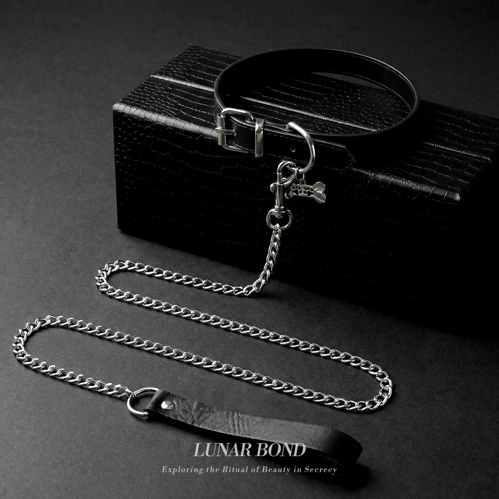 高级骨头项圈情调小狗牵引绳choker狗链男生m黑色皮革女礼物