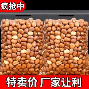 新货蚕豆农家香酥胡豆羊眼豆散装休闲零食批发无干燥剂年货炒豆子