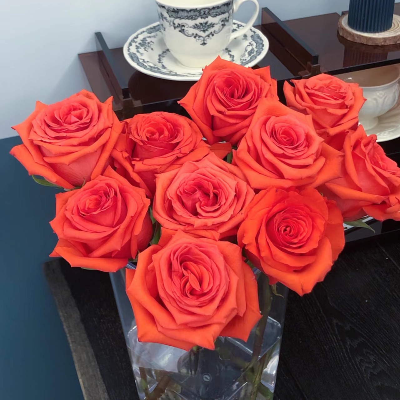 修行者玫瑰花大苗盆栽花园阳台