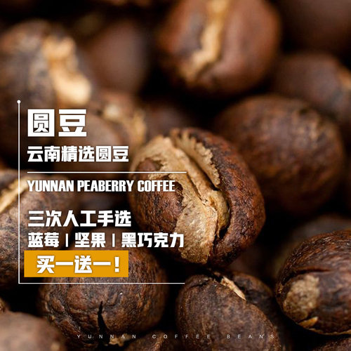 云南保山小粒咖啡豆现磨精品圆豆