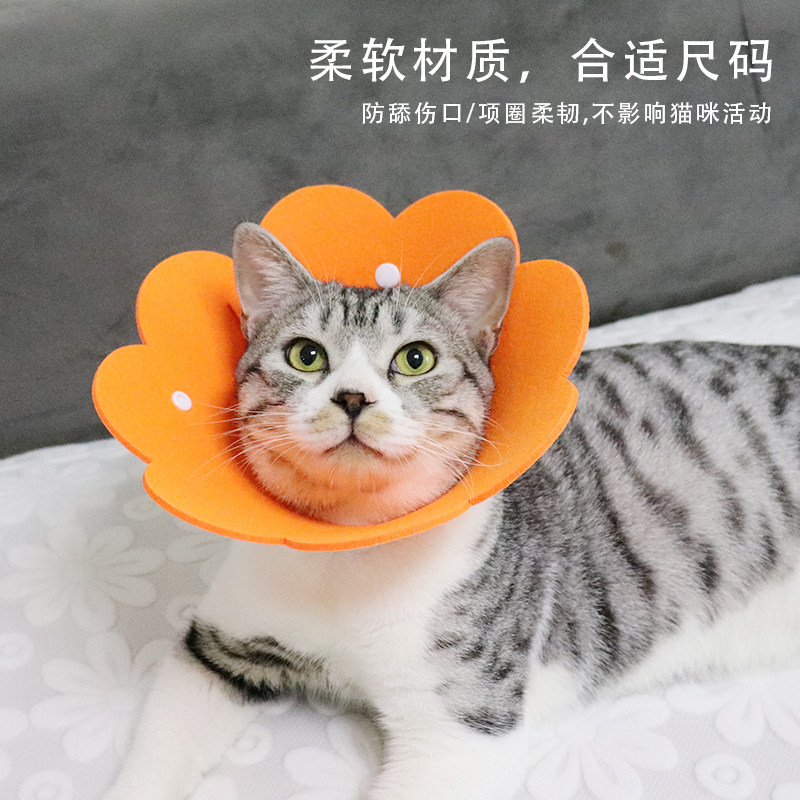 猫咪伊丽莎白圈猫软狗项圈脖圈防水防舔头套绝育宠物用品耻辱圈,宠物/宠物食品及用品,项圈/肩带,淘宝优惠券,粉丝福利购,淘宝优惠卷