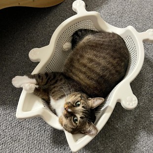 四季 菜篮子猫窝2025新款 通用舒适透气宠物猫狗加厚PP材质宠物窝
