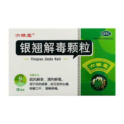 【六橘堂】银翘解毒颗粒15g*12袋/盒