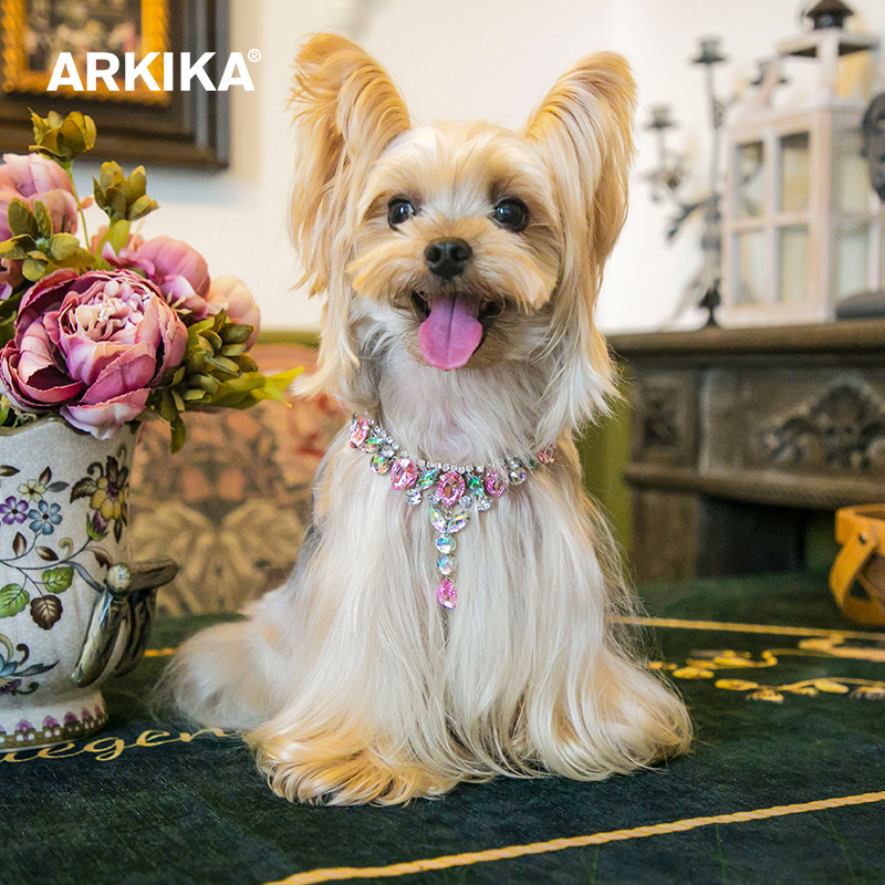 arkika猫咪狗狗装饰珍珠钻石项圈