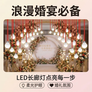 灯笼专用LED小灯泡3瓦灯笼长廊铃兰花灯专用灯户外防水暖光灯