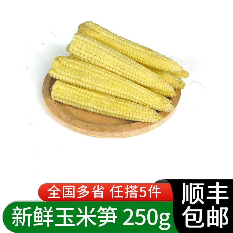 绿食者玉米笋250g去皮煲汤迷你