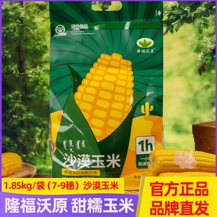 2025年当季内蒙古沃原玉米绿色家庭装乌兰布和沙漠甜糯玉米1.85kg