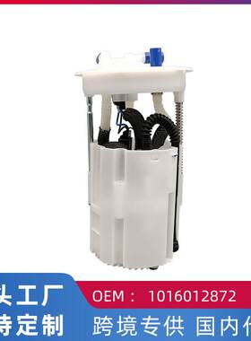 跨境热 适用吉利鹰GX7燃油泵汽油泵总成1016012872/PW2700C