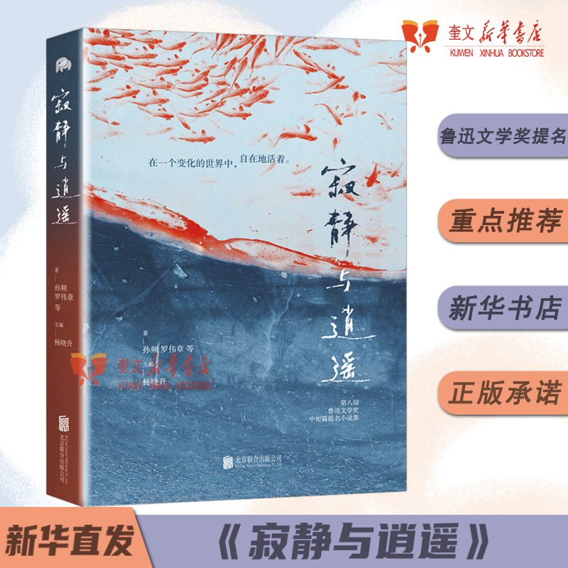 《寂静与逍遥》第八届鲁迅文学奖中短篇提名小说集 孙频 罗伟章 班宇 金仁顺 朱文颖等10位 发挥文学照见人心的力量 新华书店正版